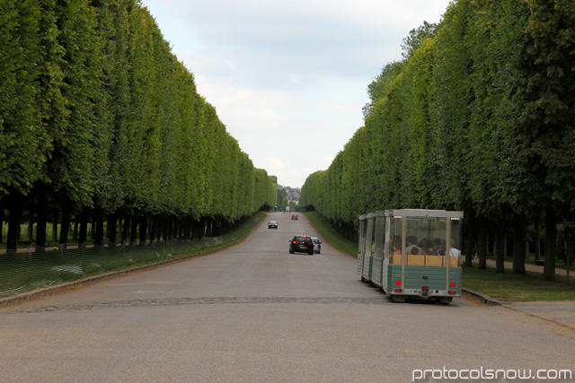 Palace of Versailles trees