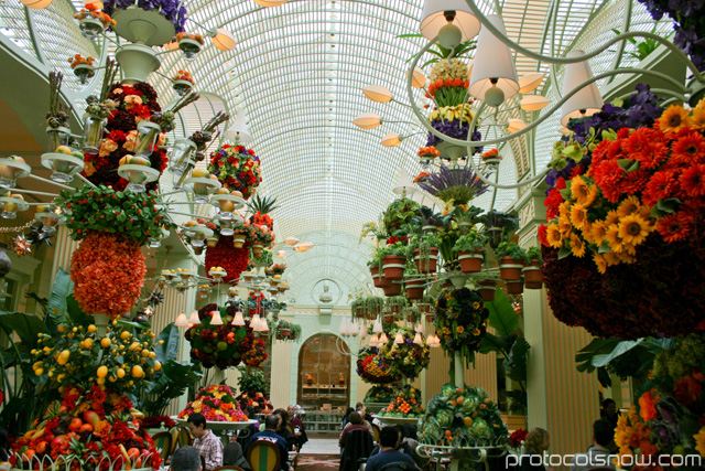 Bellagio buffet resort casino hotel Las Vegas