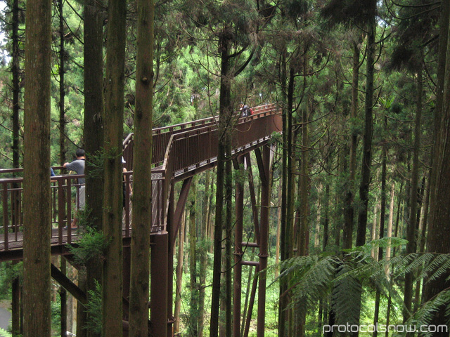 Taiwan forest national park