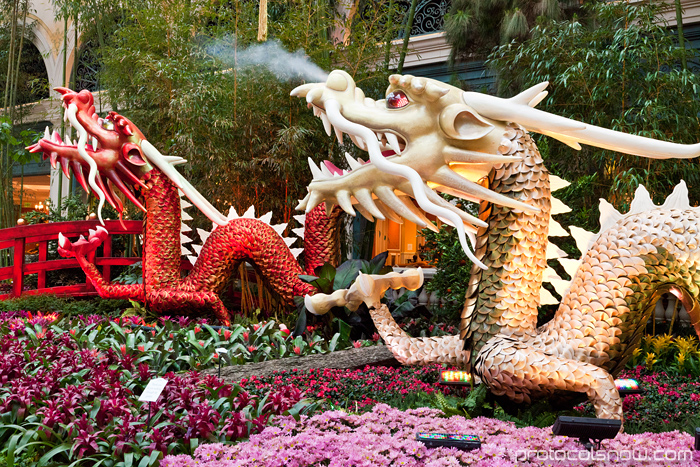 Las Vegas Chinese New Year dragon decorations celebration Bellagio conservatory hotel casino