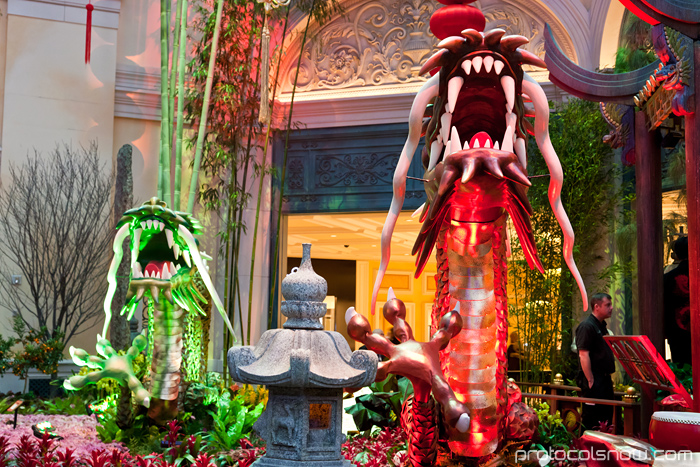 Las Vegas Chinese New Year dragon decorations celebration Bellagio conservatory hotel casino