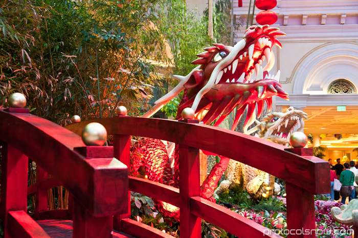 Las Vegas Chinese New Year dragon decorations celebration Bellagio conservatory hotel casino