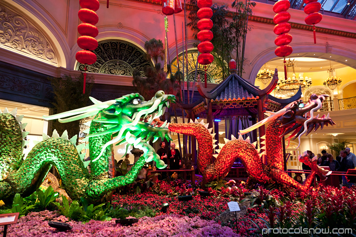 Las Vegas Chinese New Year dragon decorations celebration Bellagio conservatory hotel casino