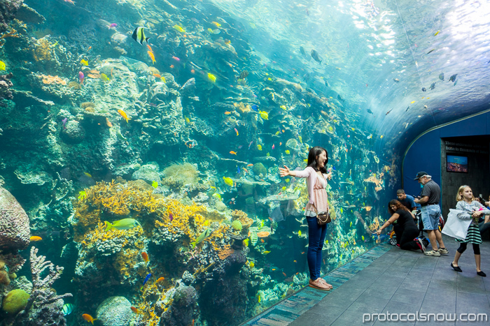 Atlanta Aquarium Coral Reef tropical fish